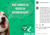 Projeto na UFPB alerta sobre perigos da automedicação em animais domésticos