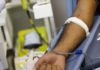 Pessoas que contraíram covid-19 podem doar sangue após 30 dias
