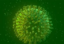 Covid-19 ofuscará comemorações de ano-novo no mundo