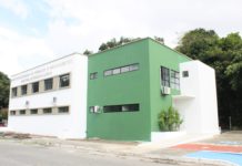 Pesquisadores da UFPB estudam potencial da Spirulina na prevenção da obesidade